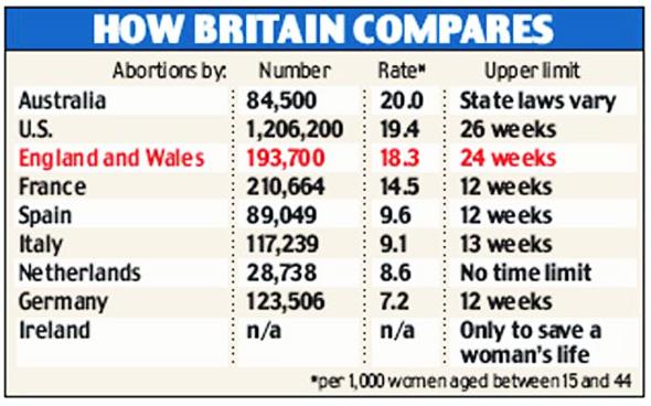 Abortion statistics