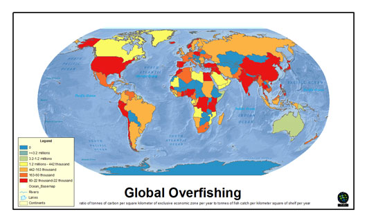 global overfishing