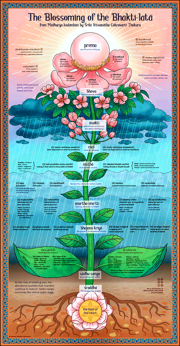 BHAKTI LATĀ BĪJA – the seed of devotional service.