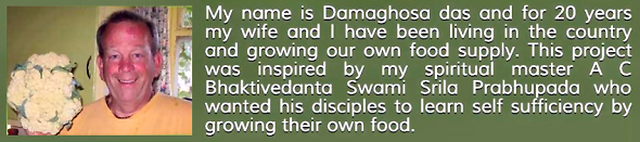 Simple living high thinking produces these wonderful gifts from God-Krsna