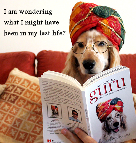 As soon as he thinks like this, he becomes a dog instead of God