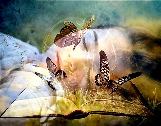 Day-Dream / Night-Dream