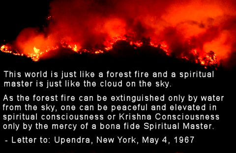The Forest Fire of material World