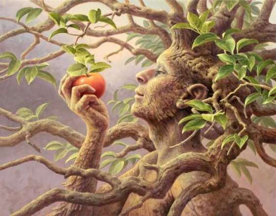 THE FRUIT OF THE POISONOUS TREE