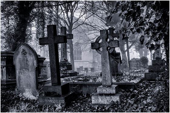 Born Just To Die - Destination Death