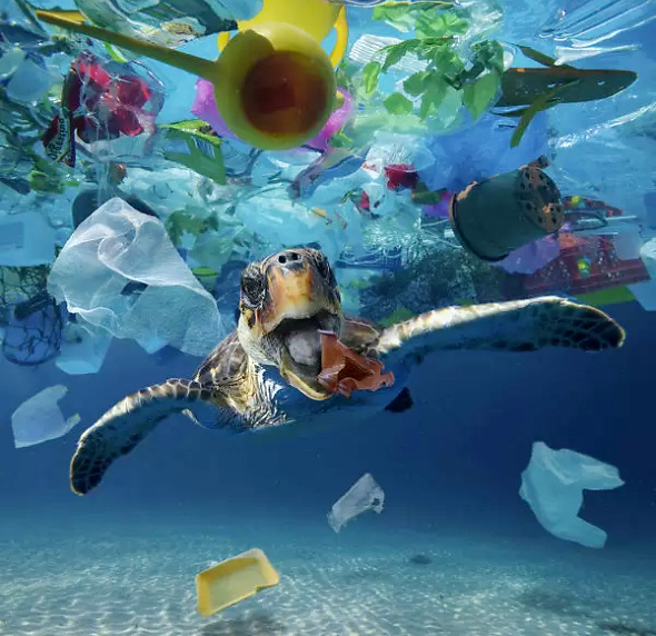 Plastic-Food