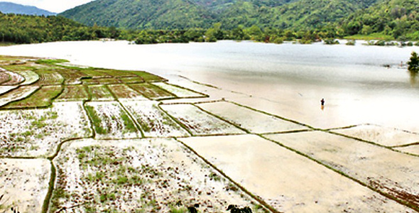AGRICULTURAL FIELD