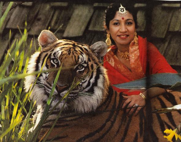 tiger